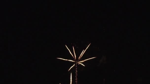 Kleurrijk vuurwerk in slow motion. — Stockvideo