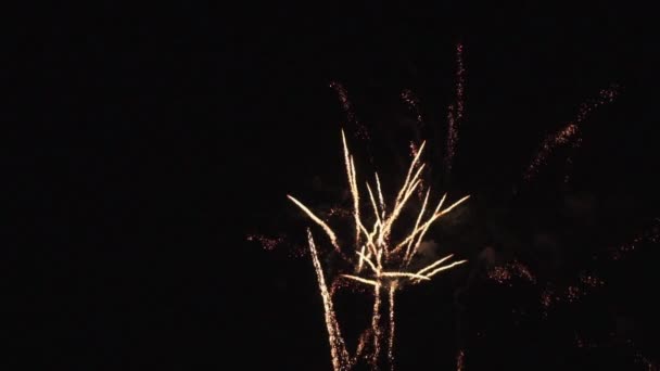 Kleurrijk vuurwerk in slow motion. — Stockvideo