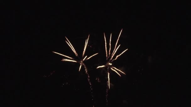 Fuegos artificiales de colores en cámara lenta. — Vídeo de stock