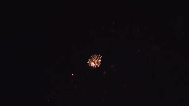Kleurrijke vuurwerk display voor viering. — Stockvideo