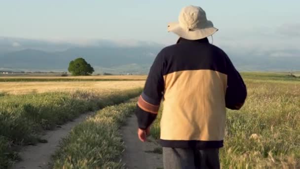 Yaz öğleden sonra, kırsal yürüyüş kutup ile yaşlı bir yürüyüşçü ardından. — Stok video