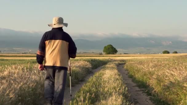 Pellegrino anziano che cammina sul famoso percorso di pellegrinaggio del camino de Santiago, Spagna . — Video Stock