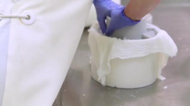 Süt fabrikası işçisi, peynir yapma süreci, plastik kalıplar içine peynir lor koyarak.