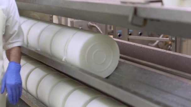 Cheese molds in a line with curd cheese inside, on the press machine in a dairy cheese factory. — Stock Video