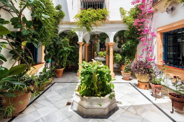 Cordoba, Spagna - 21 maggio 2019: Cortile tipico andaluso decorato con fiori e vasi . — Foto Stock