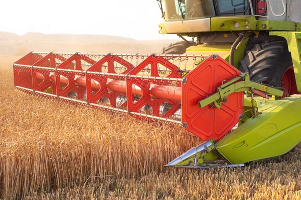 Combine harvester close up. Combine harvester harvesting wheat at sunset. — Stock Photo, Image