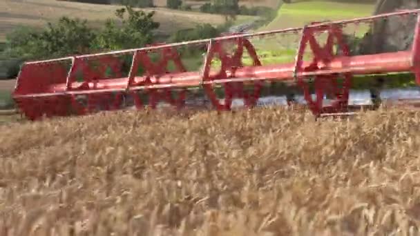Combine la cosechadora de cerca. Cosechadora, cosecha de trigo . — Vídeos de Stock