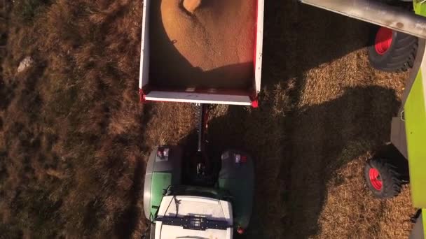 Aerial view of a combine harvester unloading grain into a tractor trailer at sunset. — Stock Video