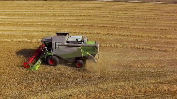 Widok z lotu ptaka Kombajn zbożowy zbiera pszenicę o zachodzie słońca. Pole uprawne, sezon zbiorów. — Wideo stockowe