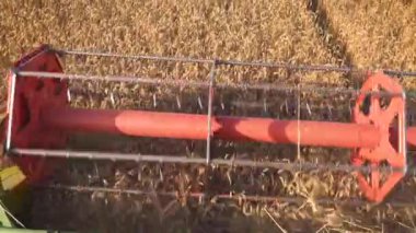 Hasat makinesini yakın ken getirin. Gün batımında hasat hasat buğday birleştirin.