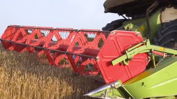 Combineer Harvester close up. Combineer Harvester oogst tarwe bij zonsondergang. — Stockvideo