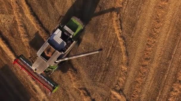 Aerial view of a combine harvester unloading grain into a tractor trailer at sunset. — Stock Video