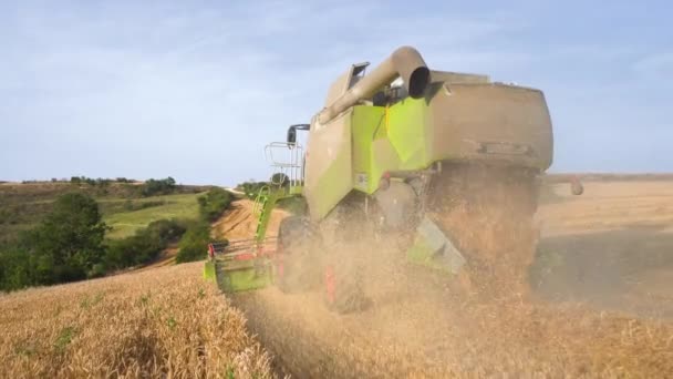 Impresionante primer plano, Siguiendo una cosechadora, cosecha de campo de trigo . — Vídeos de Stock