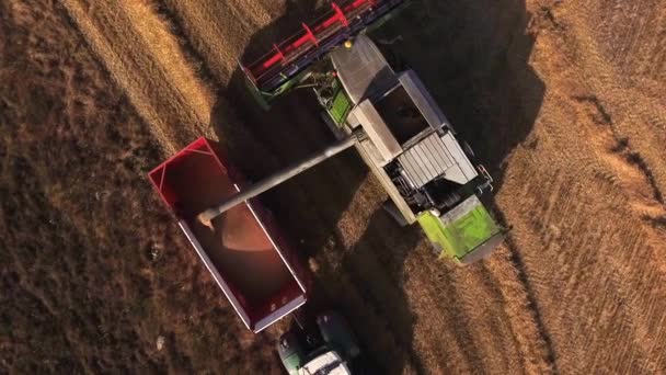 Воздушный обзор комбайна, выгружающего зерно в прицеп трактора на закате . — стоковое видео