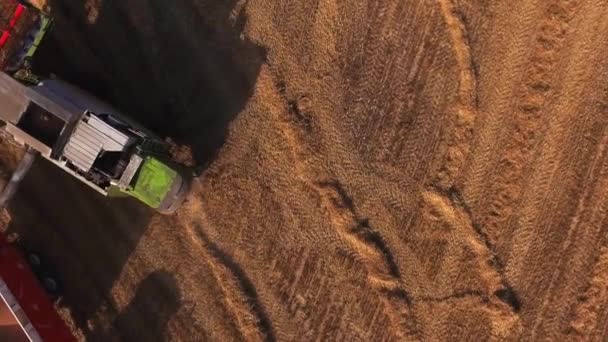 Luchtfoto van een maaidorser ontlaad graan in een tractor trailer bij zonsondergang. — Stockvideo
