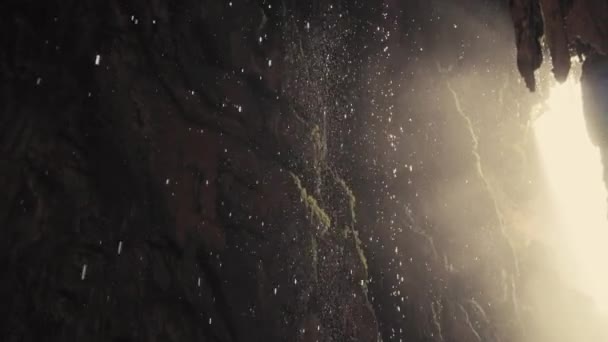 水滴が落ちる熱帯洞窟の内部のスローモーションチルトショット. — ストック動画
