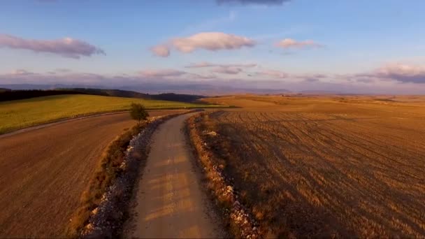 Aerial bird view footage flight over rural road in beautiful countryside landscape at sunset. — Stock Video