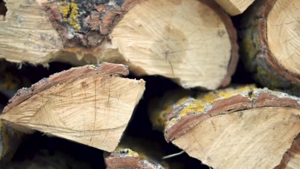 Gehakte boomstammen van bomen gestapeld in een grote hout stapel in de tuin. Gestapeld brandhout voorbereid voor de open haard, Dolly shot. — Stockvideo