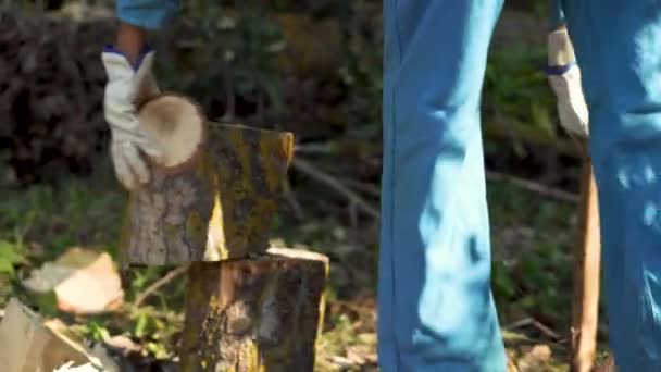 木こりは古い斧で木と切削薪を分割します。スローモーション. — ストック動画