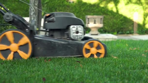 芝刈り機は草を刈る。ガーデニング活動。ドリーショット. — ストック動画