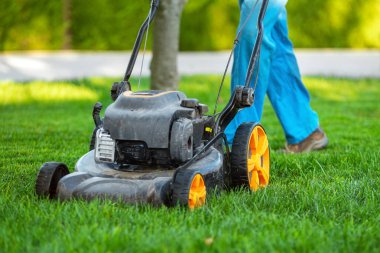 Çim biçme makinesi çimleri kesiyor. Bahçe cilik faaliyeti. 