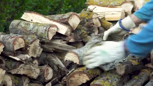 Man stapelt brandhout, bereidt zich voor om het huis te verwarmen. Het verzamelen van brandhout voor de winter of kampvuur. Man houdt vuur hout in handen. — Stockvideo