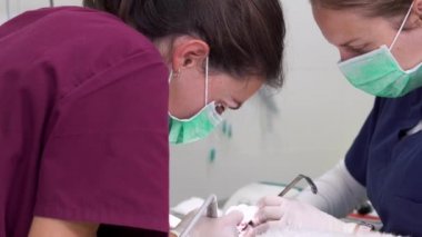 Veteriner kadın diş hekimi veteriner kliniğinde profesyonel diş temizleme ameliyatı yapıyor. Ameliyat masasında uyuşturulmuş köpek. Hayvan sağlığı konsepti.