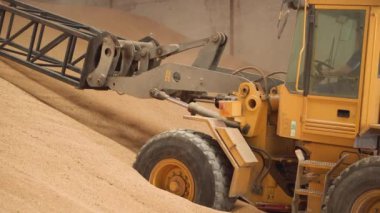 Tarım ürünlerinden oluşan büyük bir depolama tesisi. Teleskopik kontrolör değirmen deposuna tahıl yüklüyor. Tarım lojistik kavramı.