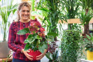 Genç güzel çiçekçi, bitkilerin arasında gülümsüyor.. 