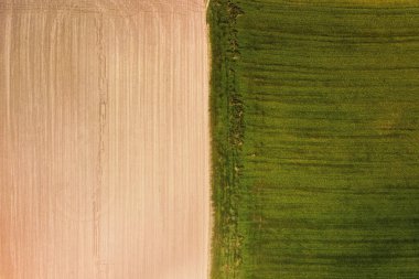 Yeşil filizlenen genç bitki örtüsü ve sarı yeşil olmayan alan yüzeyi olan bir alanın havadan görünüşü, soyut bir izlenim..