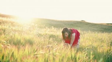 Gün batımında çayırda köpeğiyle oynayan neşeli genç bir kadın. Baharda eğlenceli bir golden retriever 'ın sinematik videosu.
