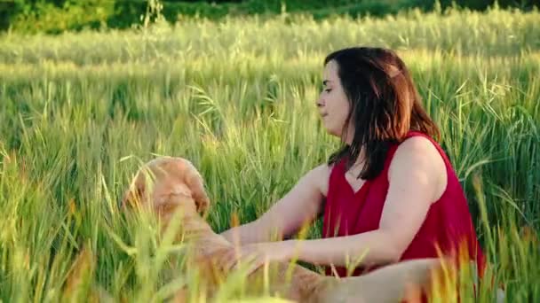 Jovencita alegre jugando con su perro en el prado al atardecer. Vídeo cinematográfico de un juguetón golden retriever al aire libre en primavera . — Vídeos de Stock