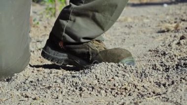 İnsan eli, toprağa ekmek için tohum ağacı tutuyor..