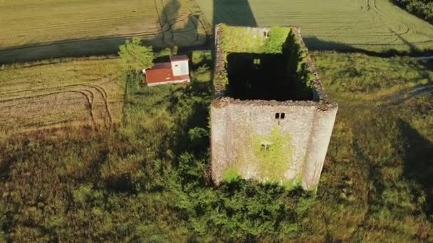 Vue Aérienne de la Tour Médiévale dans le village Lomana, province de Burgos, Castilla y Leon, Espagne . — Video