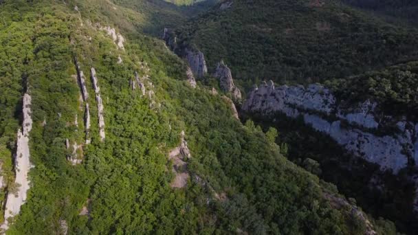 Veduta aerea di un canyon e del fiume Ebro che lo attraversa nella provincia di Burgos, Castilla y Leon, Spagna . — Video Stock