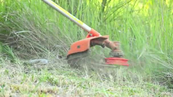 近くの庭のブラシカッターで草を刈る庭師 — ストック動画