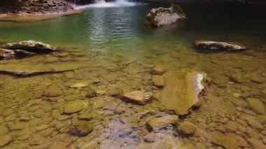  Idyllic yağmur ormanı şelalesi, yemyeşil ormanda akan dere..