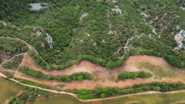 Vista aérea de um desfiladeiro cênico e rio . — Vídeo de Stock