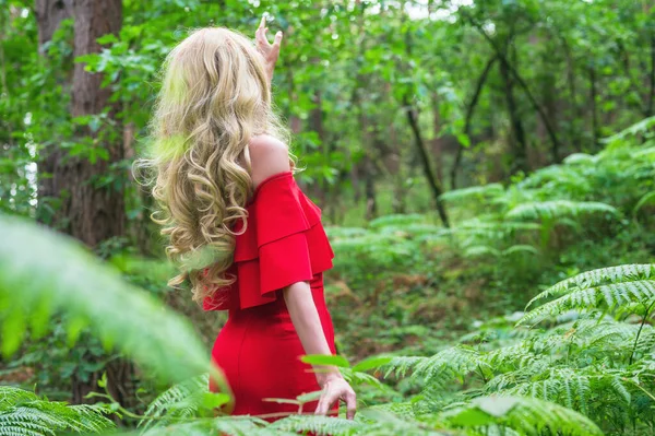 Widok z tyłu Piękna blondynka w eleganckiej czerwonej sukience dotykając paproci w lesie bajki. Atmosfera fantastyczna. — Zdjęcie stockowe