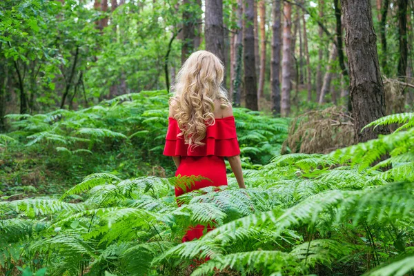 Widok z tyłu Piękna blondynka w eleganckiej czerwonej sukience dotykając paproci w lesie bajki. Atmosfera fantastyczna. — Zdjęcie stockowe