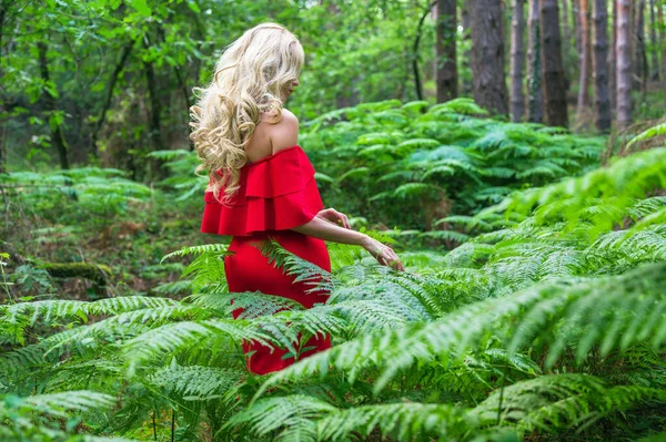 Widok z tyłu Piękna blondynka w eleganckiej czerwonej sukience dotykając paproci w lesie bajki. Atmosfera fantastyczna. — Zdjęcie stockowe