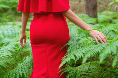 Kadın eli, uzun zarif parmaklarıyla bitkiye hafifçe dokunur, eğrelti otunun yapraklarına. Tanımlanamayan kişinin yakın plan fotoğrafı.. 