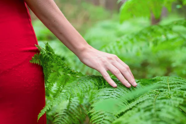 Samica ręka, z długi wdzięk palec delikatnie dotykam roślina, liść paproć. Zbliżenie osoby nierozpoznawalnej. — Zdjęcie stockowe