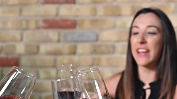 Святкування. Друзі тримають склянки вина, щоб зробити тост. — стокове відео