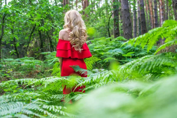 Widok z tyłu Piękna blondynka w eleganckiej czerwonej sukience w lesie bajki. Atmosfera fantastyczna. — Zdjęcie stockowe