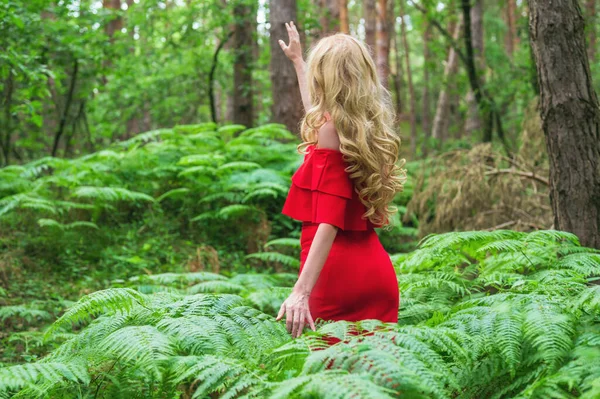 Widok z tyłu Piękna blondynka w eleganckiej czerwonej sukience dotykając paproci w lesie bajki. Atmosfera fantastyczna. — Zdjęcie stockowe