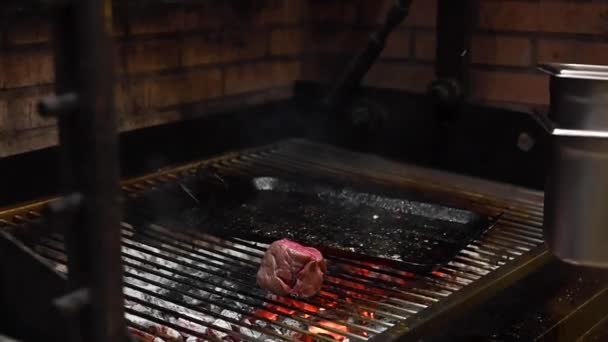 Calamar, sepia se prepara en la parrilla, de cerca. Calamar bebé asado en la barbacoa. Marisco frito en la parrilla . — Vídeos de Stock