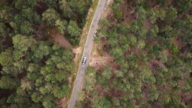 Kırsal yolda, derin orman manzaralı araba, asfalt yoldaki ormanda hava manzaralı araba..