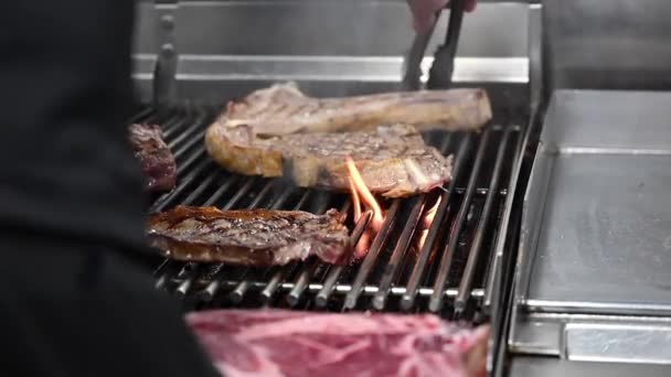 Kokken griller lækre kødbøffer i kommercielt køkken. – Stock-video