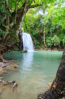 Derin orman Erawan şelale Milli Parkı Kanchanaburi Tayland, şelaleler